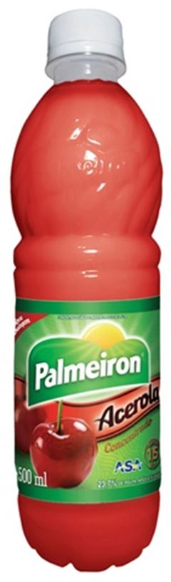 CONCENTRADO LÍQUIDO PALMEIRON ACEROLA PET 12X500ML